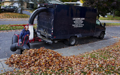 Ramassage de feuilles mortes